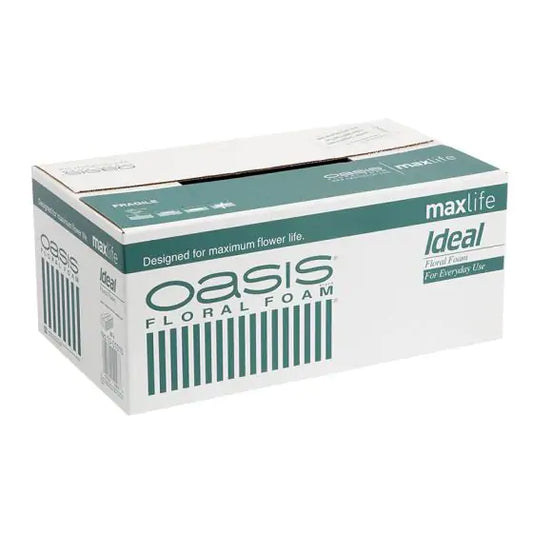 OASIS Ideal Foam Maxlife Wet Brick