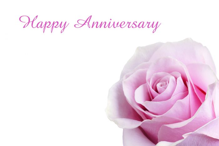 Happy Anniversary Card - Pale Pink Rose