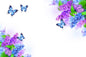 Butterfly and Purple/Blue Flowers