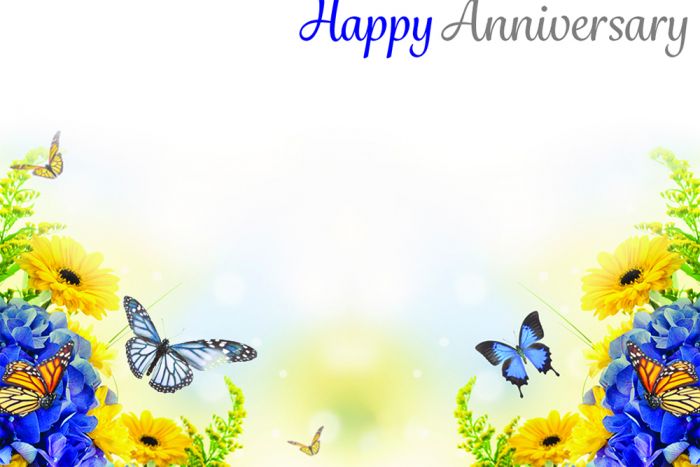 Happy Anniversary Card - Blue &amp; Yellow Flowers