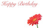 Happy Birthday Small Card - Red Daisy