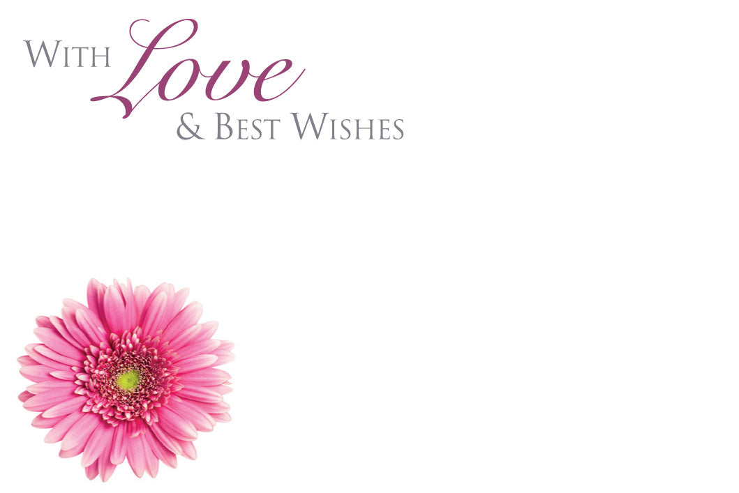 With Love & Best Wishes - Pink