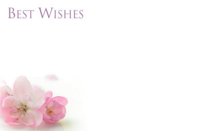 Best Wishes - Pink