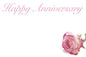 Happy Anniversary - Pink Rose