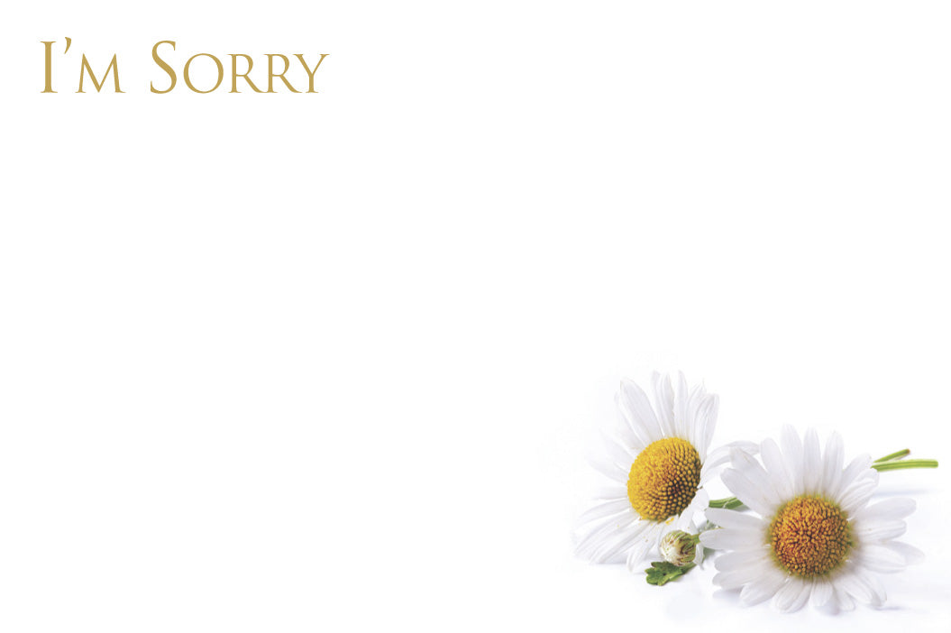 I'm Sorry Card - White