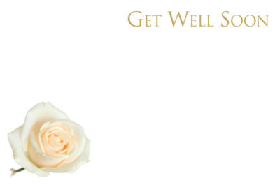 Get Well Soon - White Rose