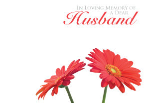 ILM Dear Husband