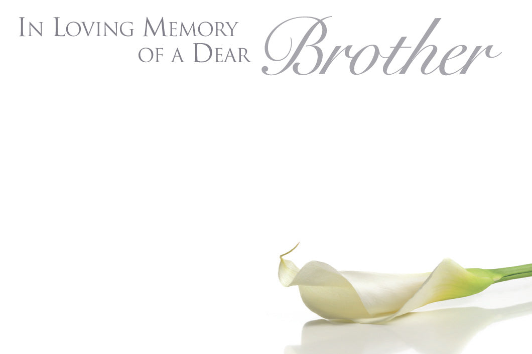 ILM Dear Brother - Small Cards