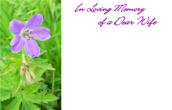 In Loving Memory Of A Dear Wife - Lilac Flower