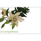 In Loving Memory - White Lilies