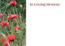 In Loving Memory - Poppy Field